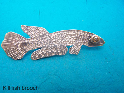 Killifish brooch