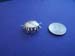 Woodlouse pendant